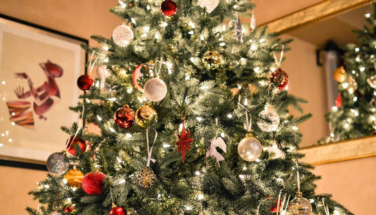 31 Aralık 2022 Cumartesi Yılbaşı Gecesi Televizyonda Hangi Programlar Var? Kanal D, TRT 1, TV8, ATV, Show TV, Star TV Güncel Yayın Akışı...