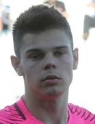 Dominik Kotarski kimdir, nereli, kaç yaşında? 2023 Dominik Kotarski Piyasa değeri ne kadar, Hangi takımlarda oynadı?