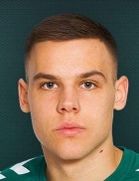 Pijus Sirvys kimdir, nereli, kaç yaşında? 2023 Pijus Sirvys Piyasa değeri ne kadar, Hangi takımlarda oynadı?