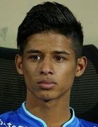 Mehdi Ghayedi kimdir, nereli, kaç yaşında? 2023 Mehdi Ghayedi Piyasa değeri ne kadar, Hangi takımlarda oynadı?