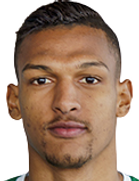 David Ribeiro kimdir, nereli, kaç yaşında? 2023 David Ribeiro Piyasa değeri ne kadar, Hangi takımlarda oynadı?