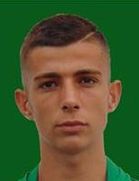 Elvis Berbic kimdir, nereli, kaç yaşında? 2023 Elvis Berbic Piyasa değeri ne kadar, Hangi takımlarda oynadı?