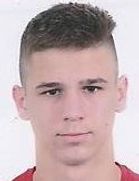 Vuk Tesic kimdir, nereli, kaç yaşında? 2023 Vuk Tesic Piyasa değeri ne kadar, Hangi takımlarda oynadı?