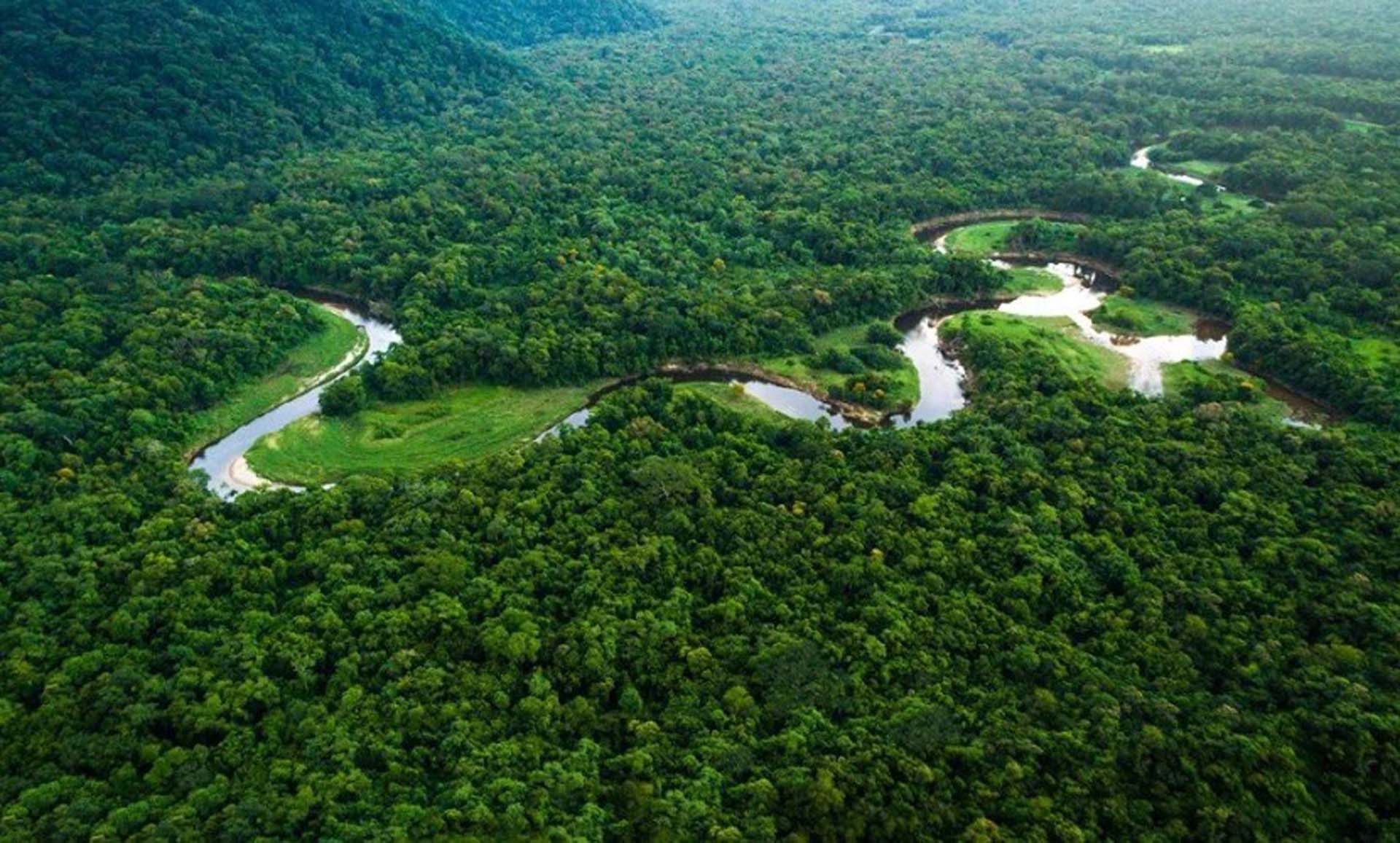 Amazonlar yok olmaya yüz tuttu! Dünya ormansızlaşıyor!