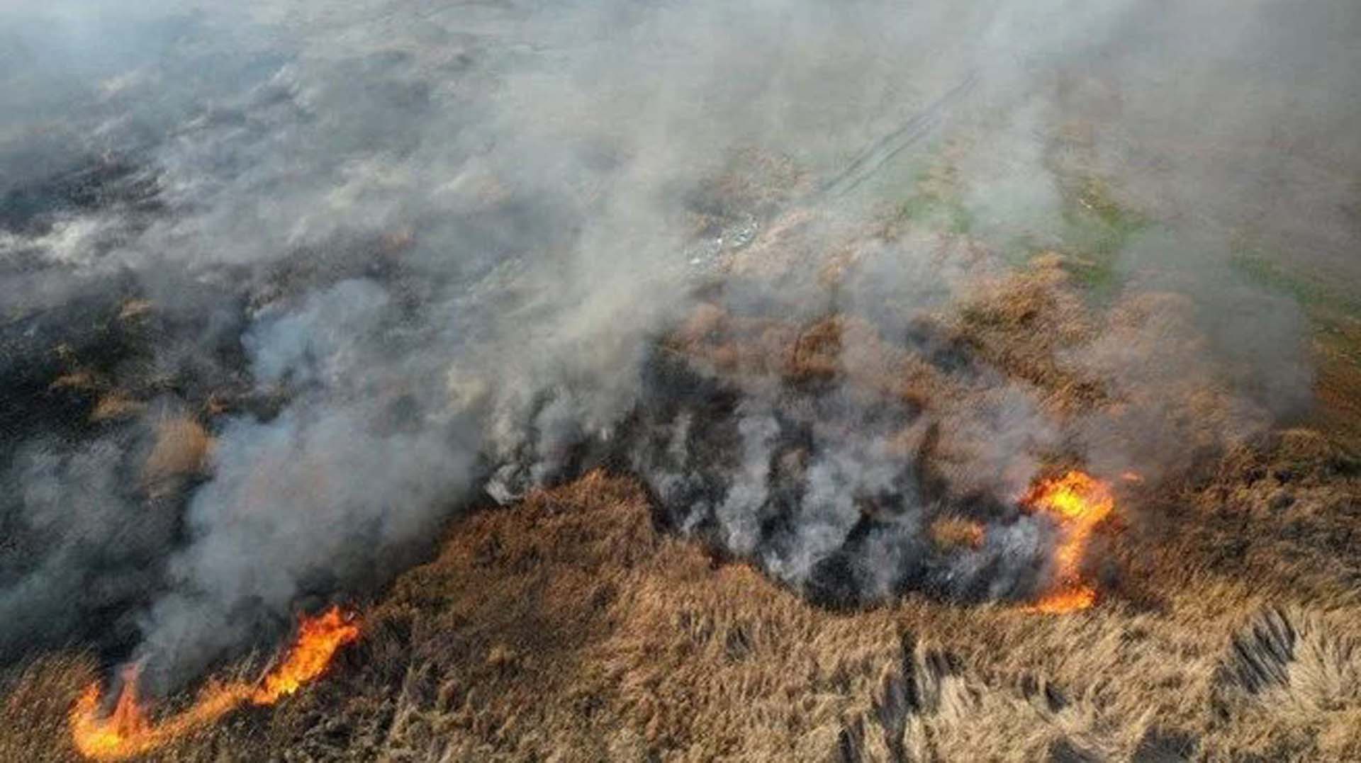 Dumanlar gökyüzünü kapladı! Bursa İznik Gölü kıyısında korkutan yangın!