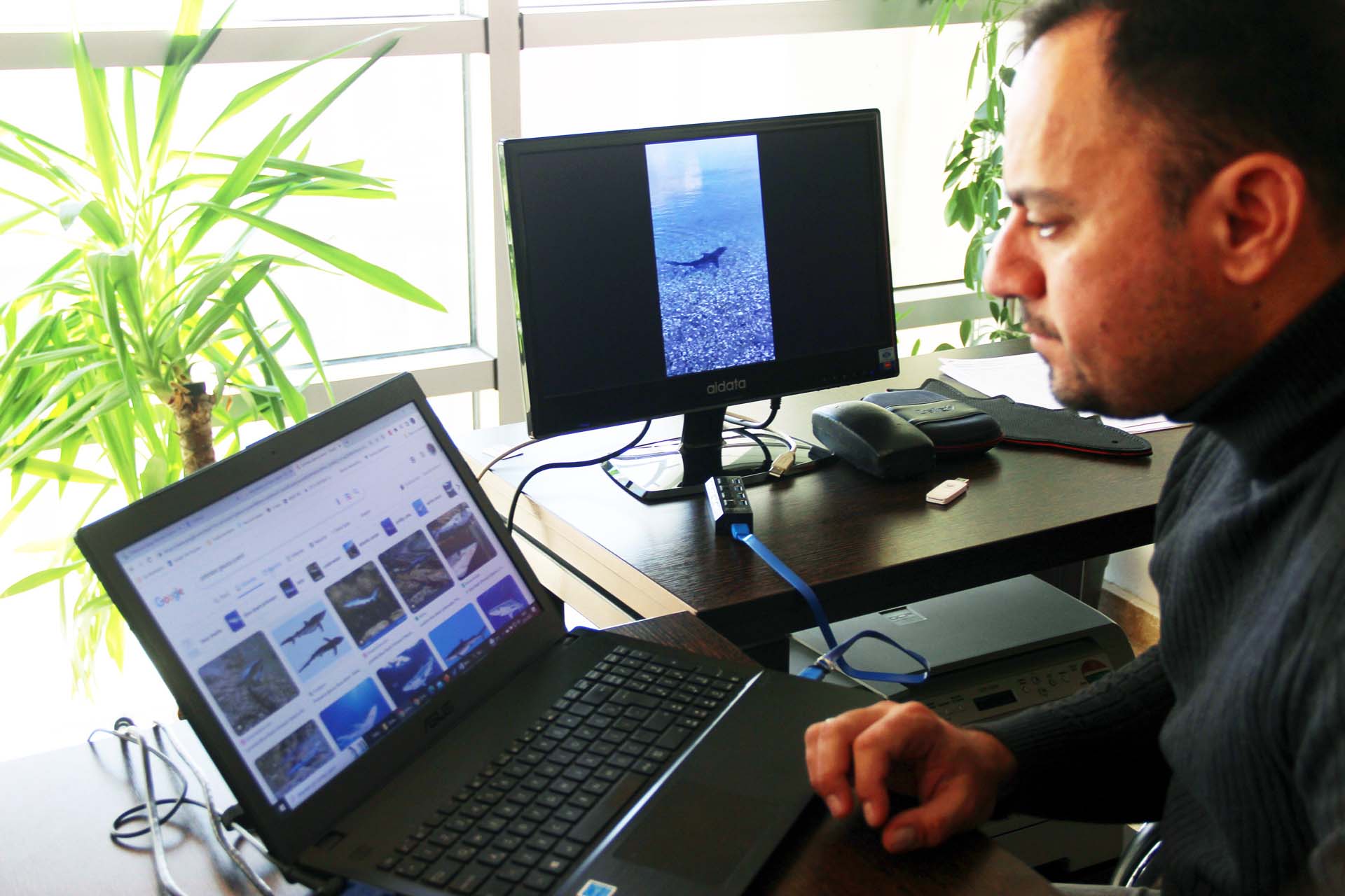 Muğla Milas'ta köpekbalığı paniği! Sahile yakın görüldü, herkes telefonuna sarıldı