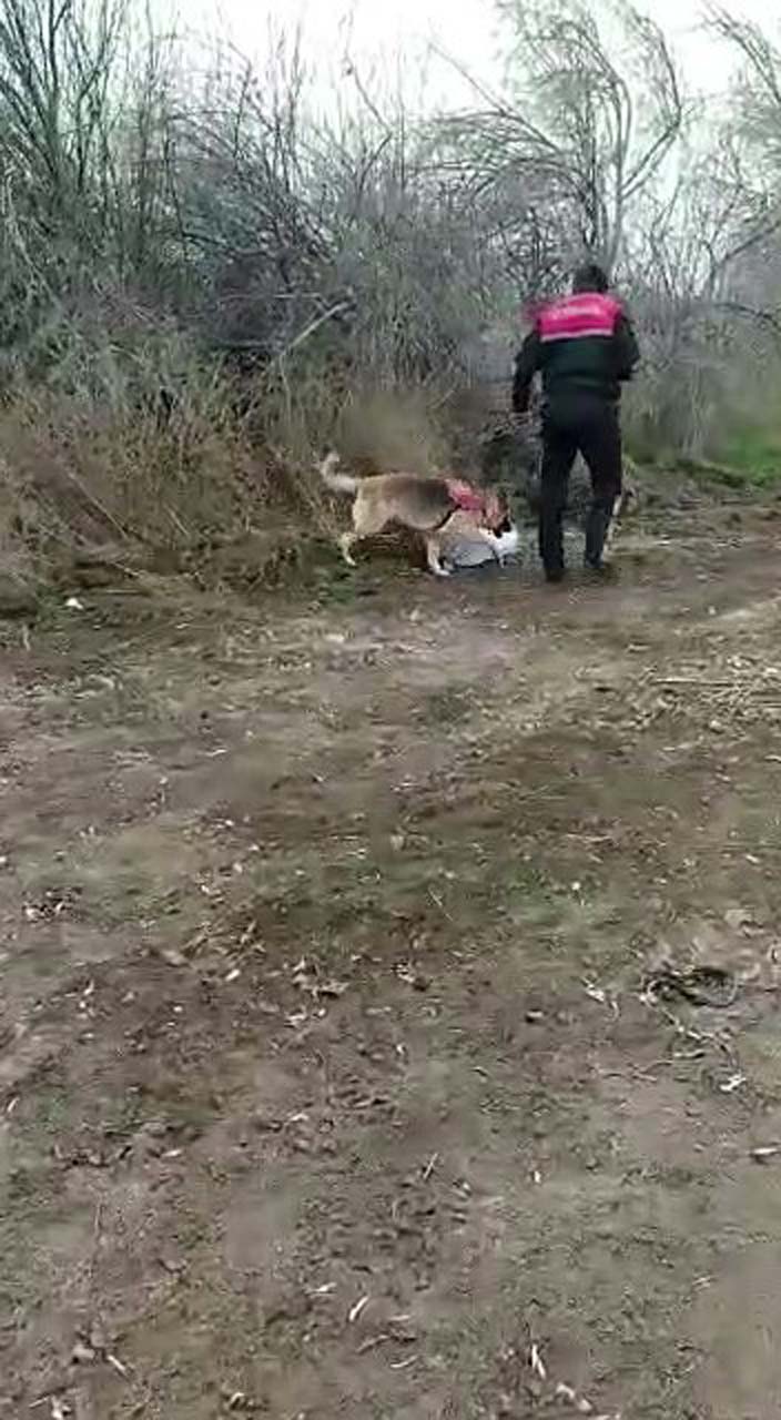 On gündür aranıyordu! Korkunç cinayet ortaya çıktı: Kemik parçaları ve elbiseleri bulundu 
