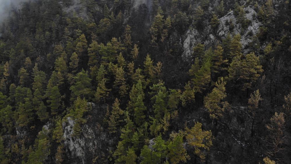Antalya'daki yangının bilançosu yürek burktu: Yanan ormanlık alan havadan görüntülendi