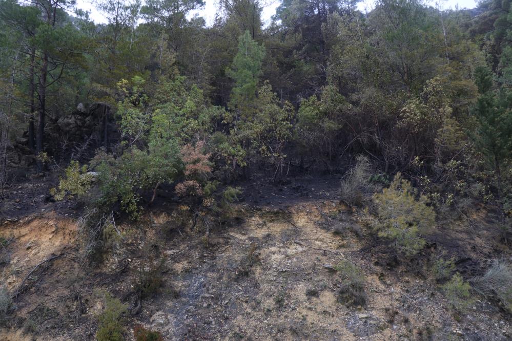 Antalya'daki yangının bilançosu yürek burktu: Yanan ormanlık alan havadan görüntülendi