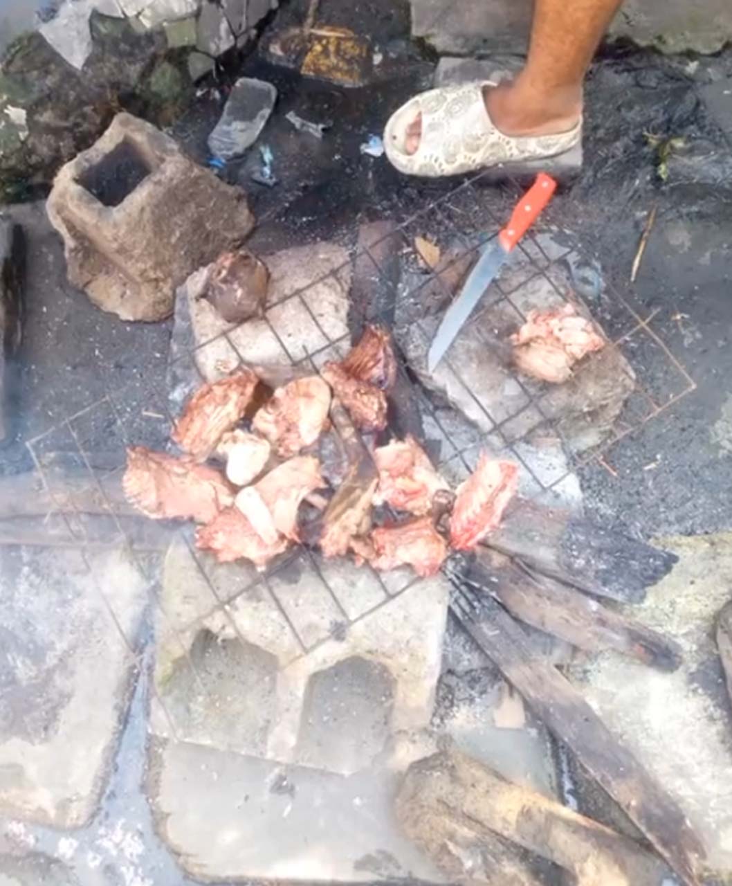 Bunu izlerken mideniz ağzınıza gelecek! TikTok'ta paylaşılan video tepki çekti: Kediyi mangalda pişirip yemek yaptılar! 