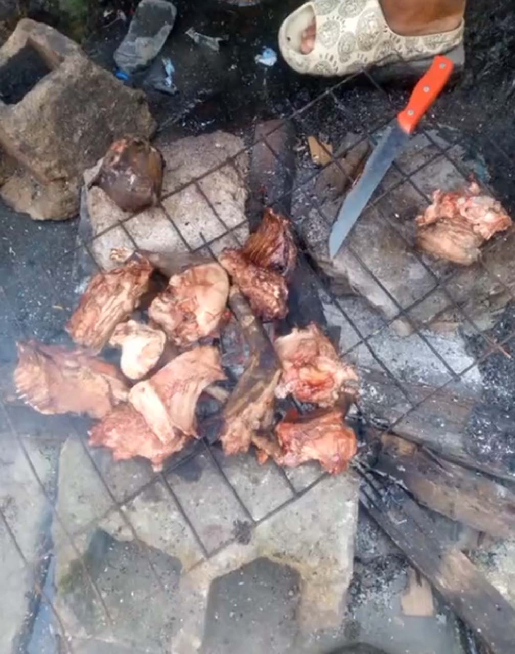 Bunu izlerken mideniz ağzınıza gelecek! TikTok'ta paylaşılan video tepki çekti: Kediyi mangalda pişirip yemek yaptılar! 