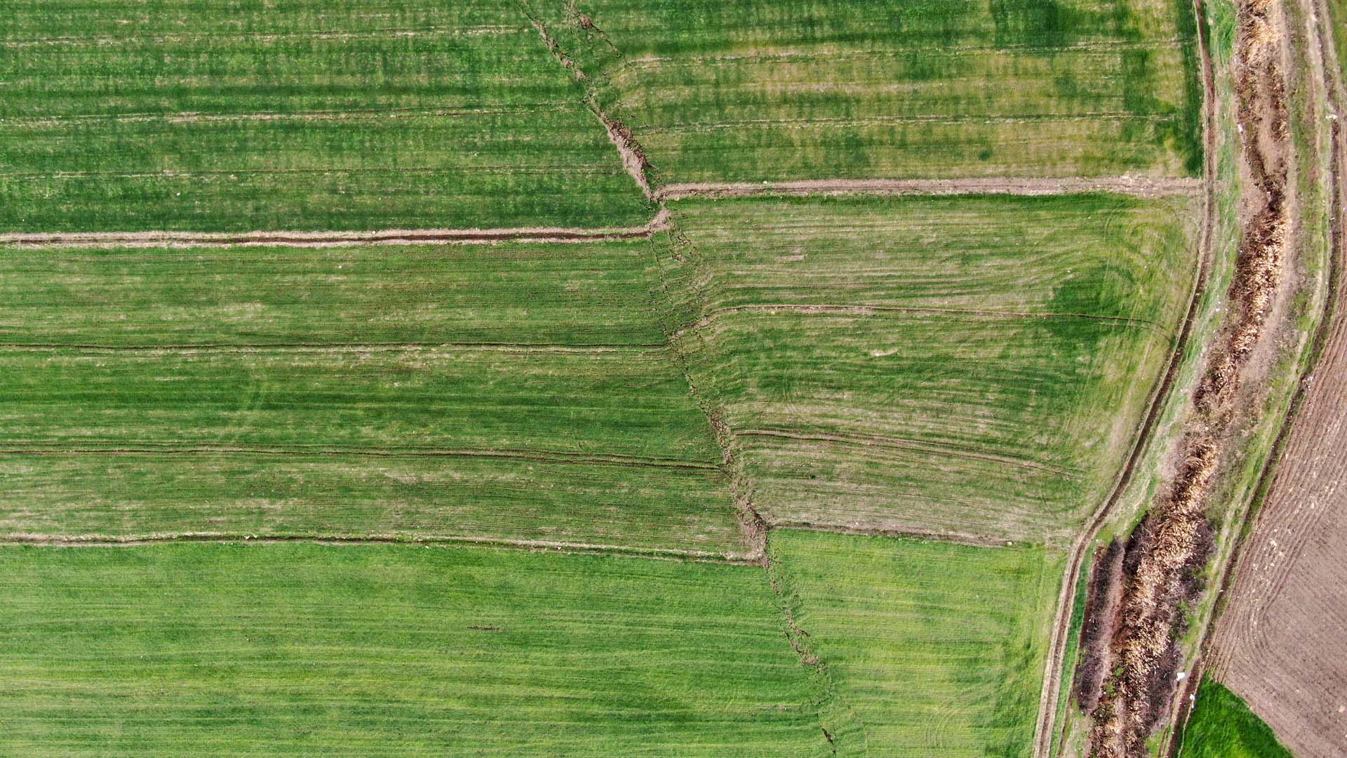 7.7'lik depremin kırdığı fay hattı havadan görüntülendi! Büyük yarıkları görenler gözlerine inanamadı: "Bazı binalar ortadan ikiye ayrıldı" 