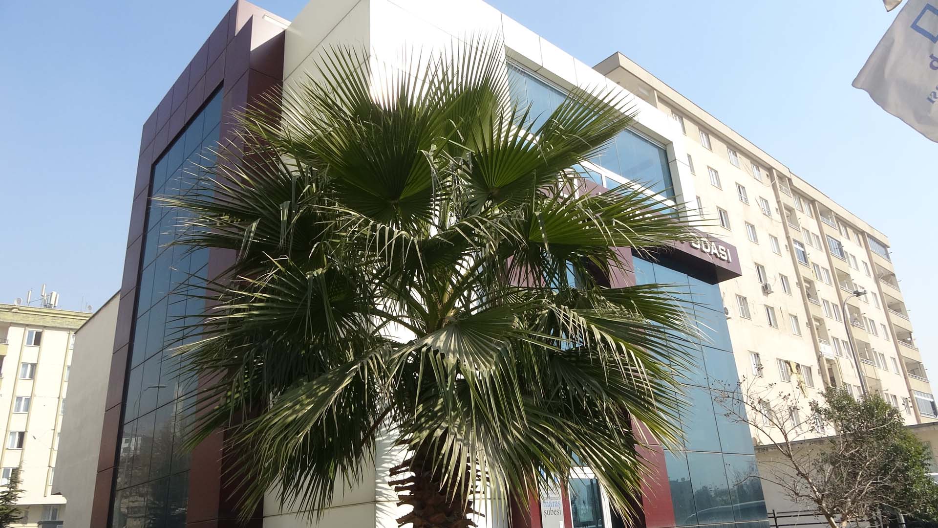 Kahramanmaraş depreminde sapasağlam kaldı! O binanın yıkılmama nedeni her şeyi anlatıyor 