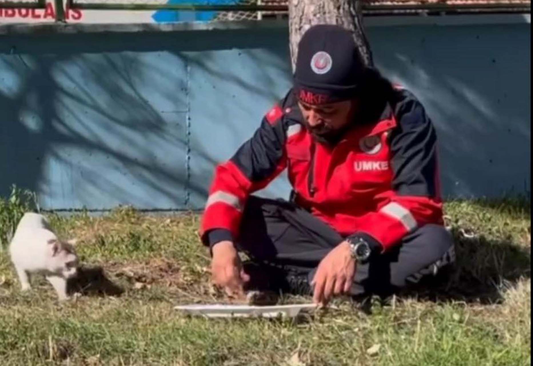 UMKE personeli, yemeğini kediyle paylaştı! Görenlerin içini ısıttı: Onlar da birer depremzede, benimle yemeğini yedi