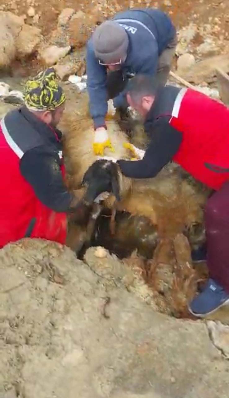 Mucize kurtuluş! 322 saat sonra kurtarıldılar!