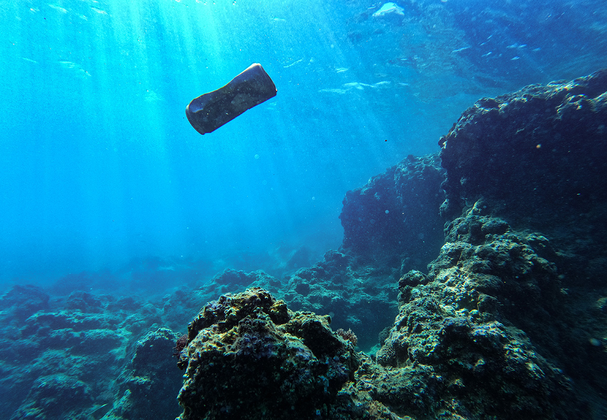 İzmit körfezinin en büyük sorunu kimyasal ve karasal kirlilik