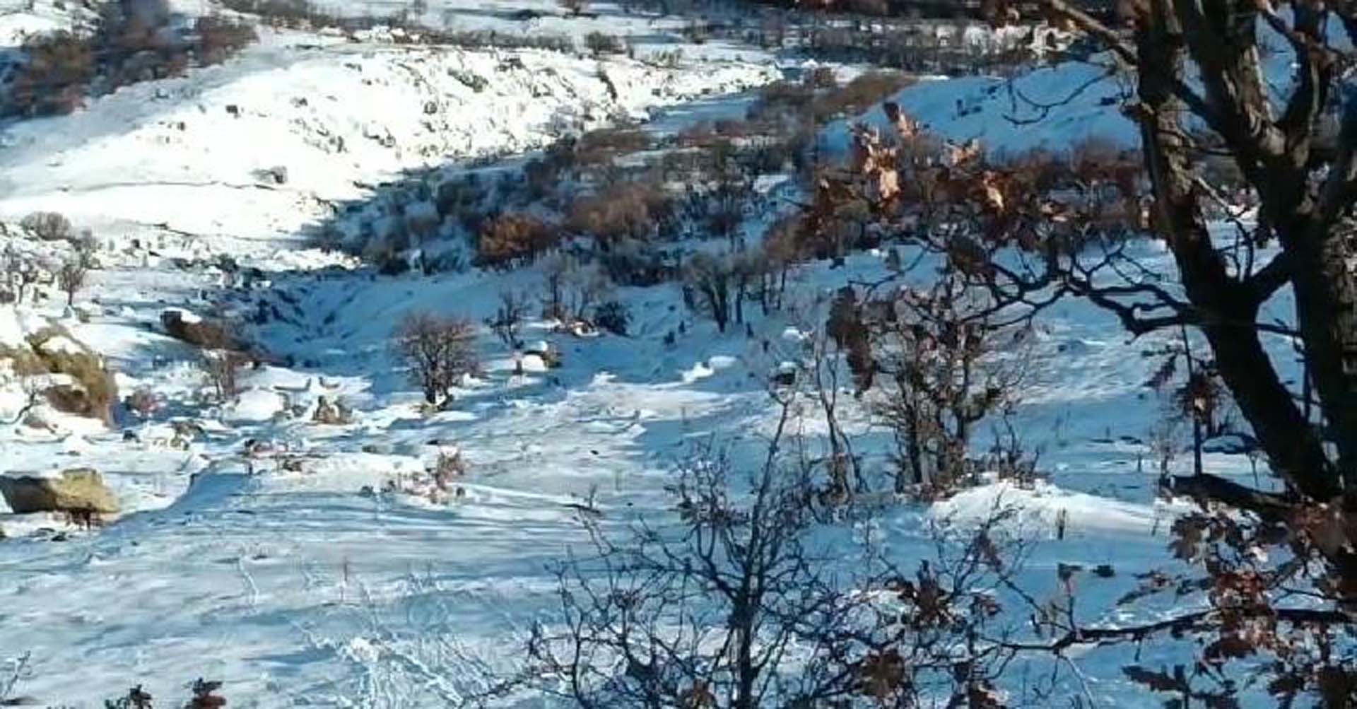 Yaban hayvanları da depremi hissetti! Korkularında nereye kaçacaklarını şaşırdılar!