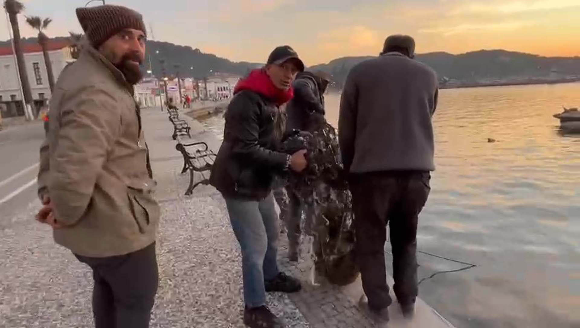 Evin yolunu unutan fok balığı! Kendini Ayvalık'ta buldu!