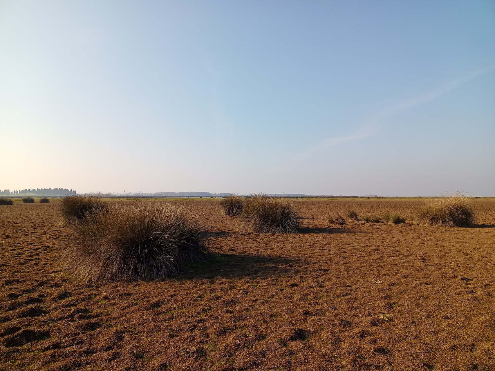 Kuraklık alarm veriyor! Yeterli yağış düşmezse Türkiye tehlike altında!
