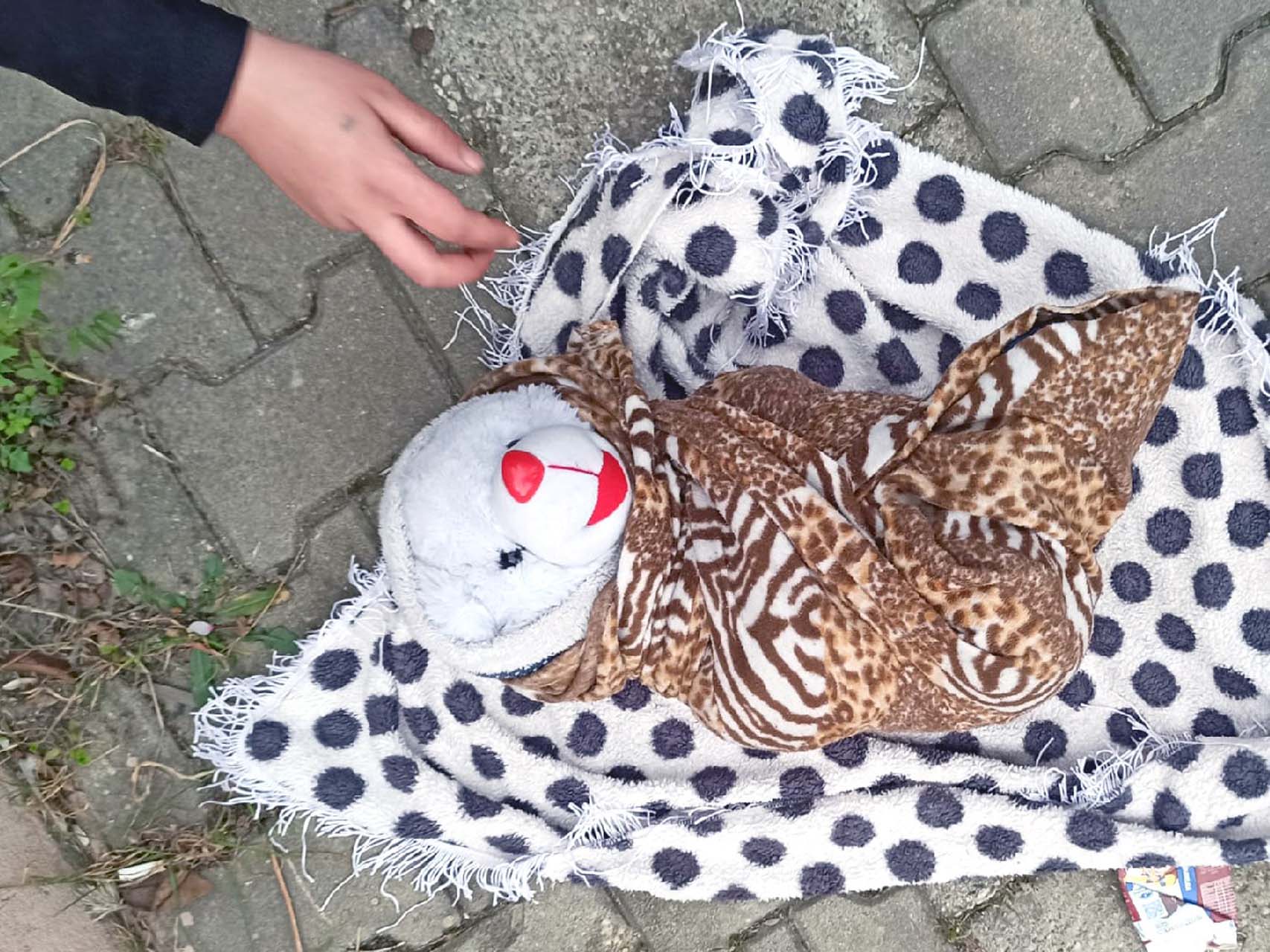 Kucağında bebekle dilendiği zannedildi gerçek çok geçmeden ortaya çıktı!