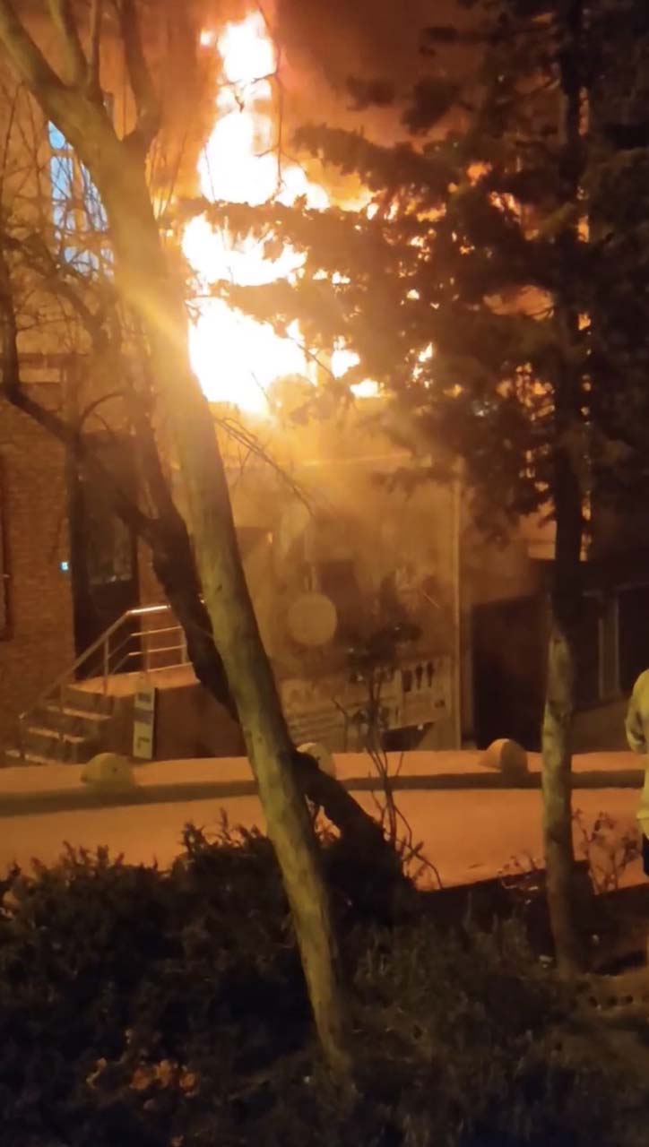 Mal canın yongası! Evi yandı 100 bin dolarının derdinde düştü!