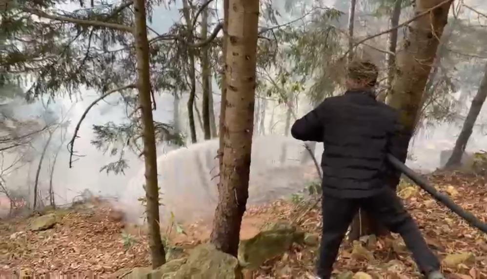 Trabzon'da orman yangını: İtfaiye ekipleri çalışma başlattı