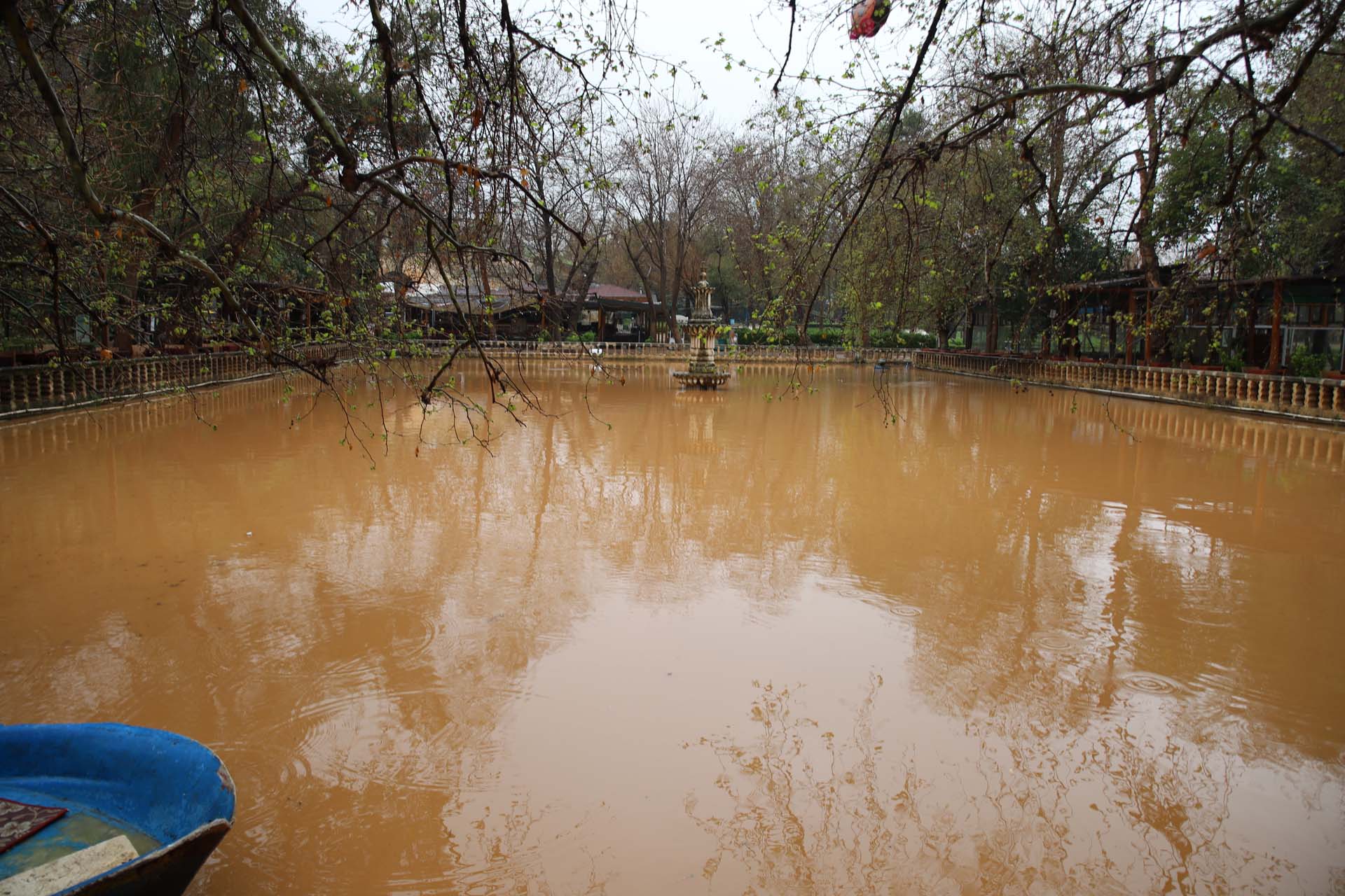 Peygamberler şehri Şanlurfa'da Balıklıgöl korkuttu! Şanlurfa'nın gözde turistik yelerinden olan Balıklıgöl'de su çamurla kaplandı!