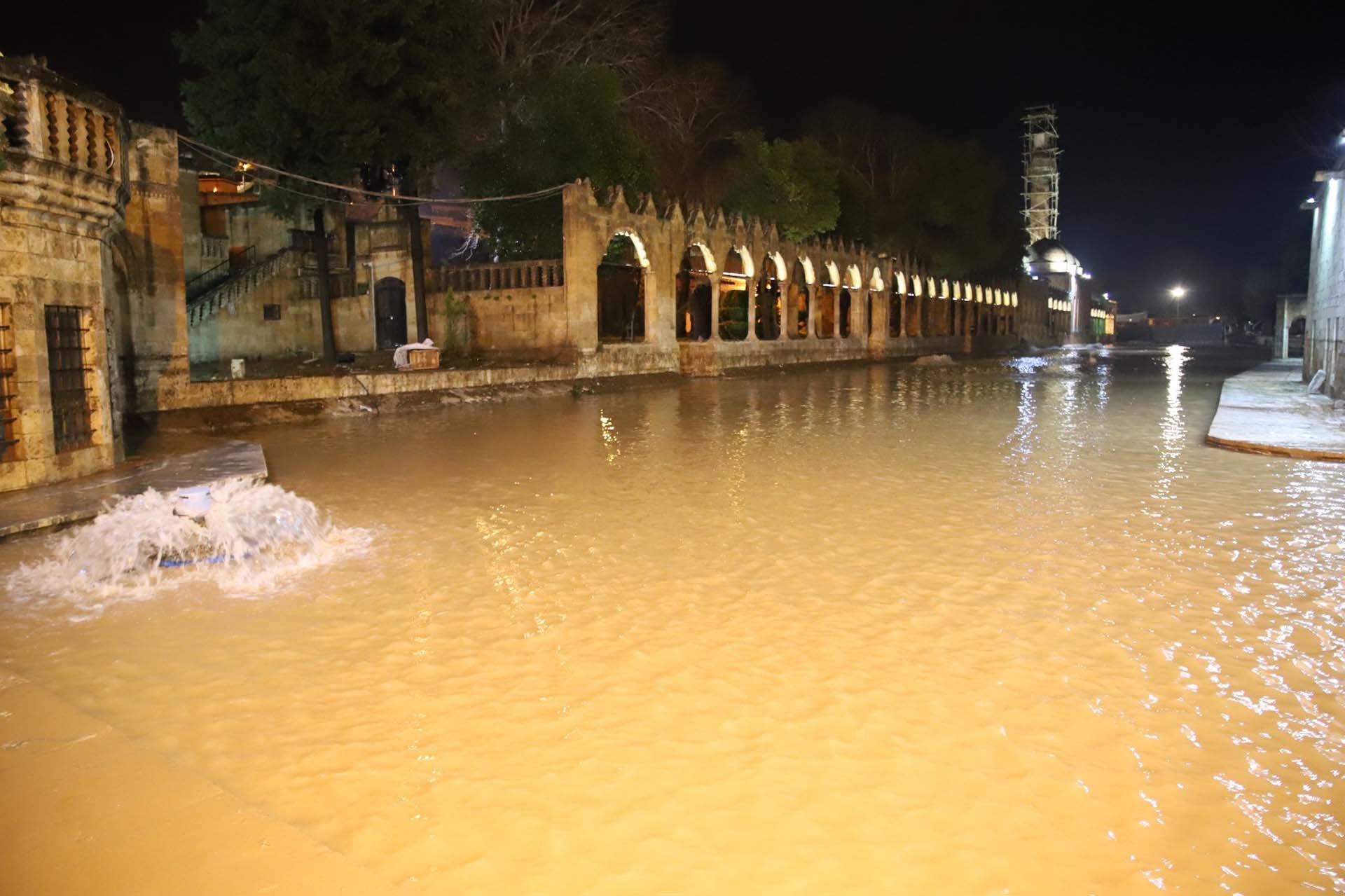 Sel sonrası Balıklıgöl temizlendi! Balıklar suda görüntülendi!