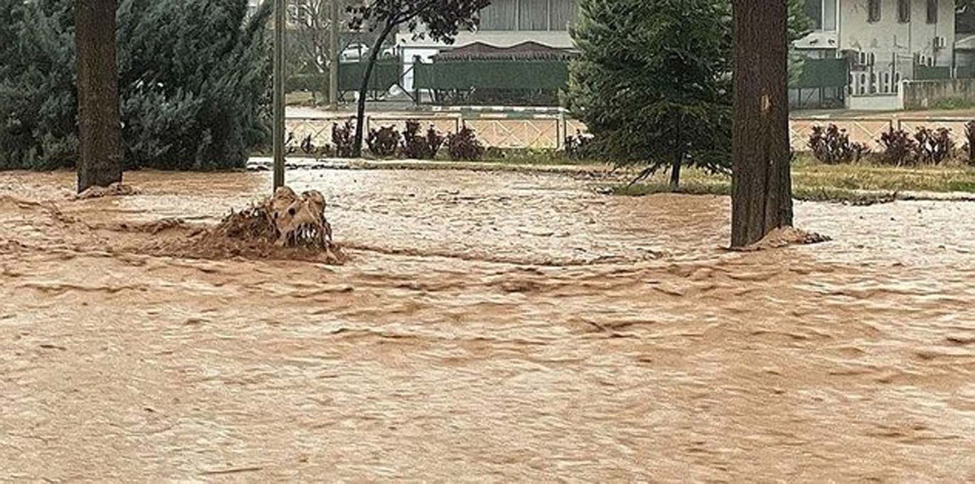 Şanlıurfa Valisi adına sahte sosyal medya hesabı açtılar! Okulları tatil ettiler!