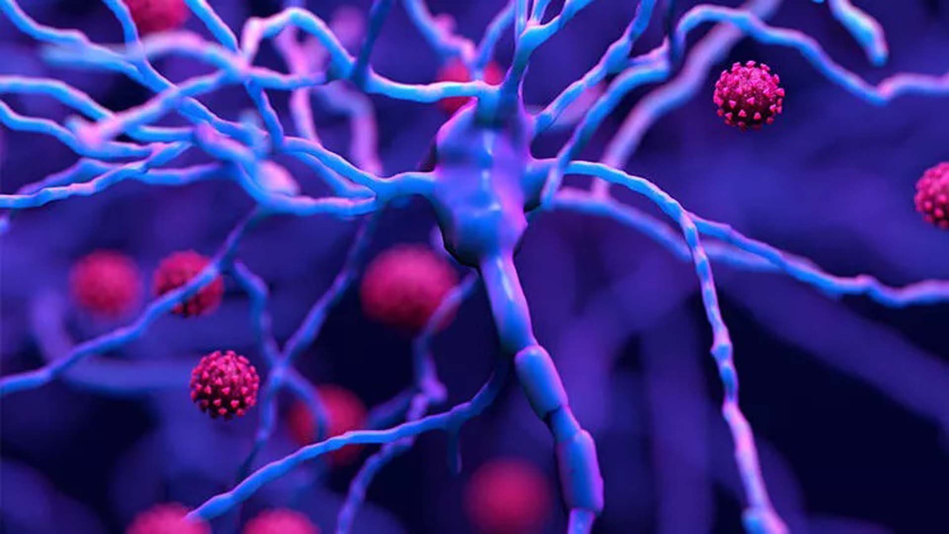 Anne karnındaki bebekte yüze yakın kanser maddesi bulundu! 