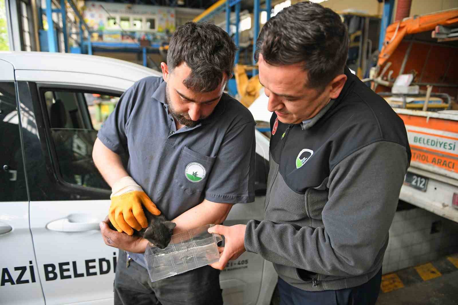 Motora sıkışan minik kedi için, görevliler seferber oldu