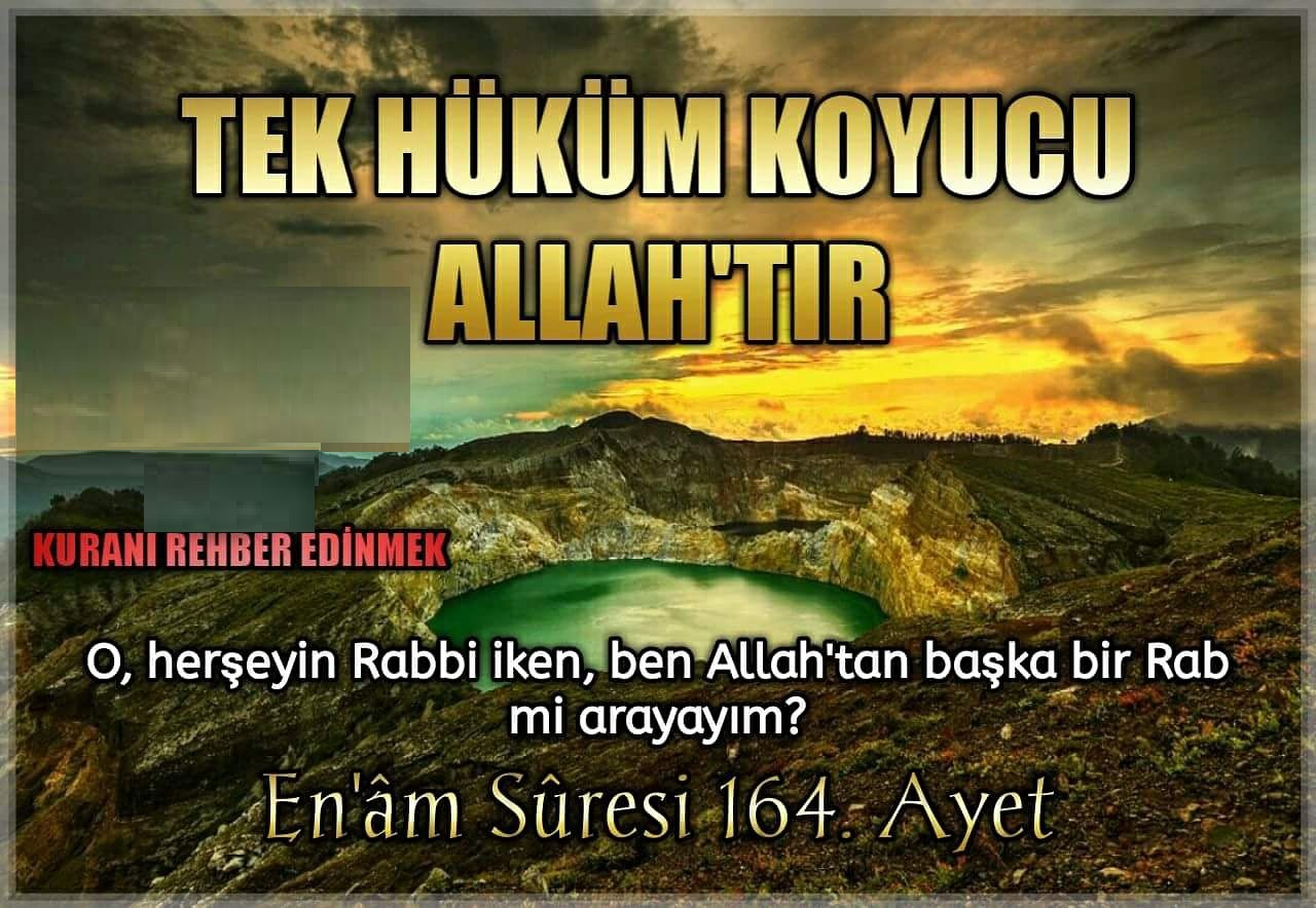 enam4.jpg