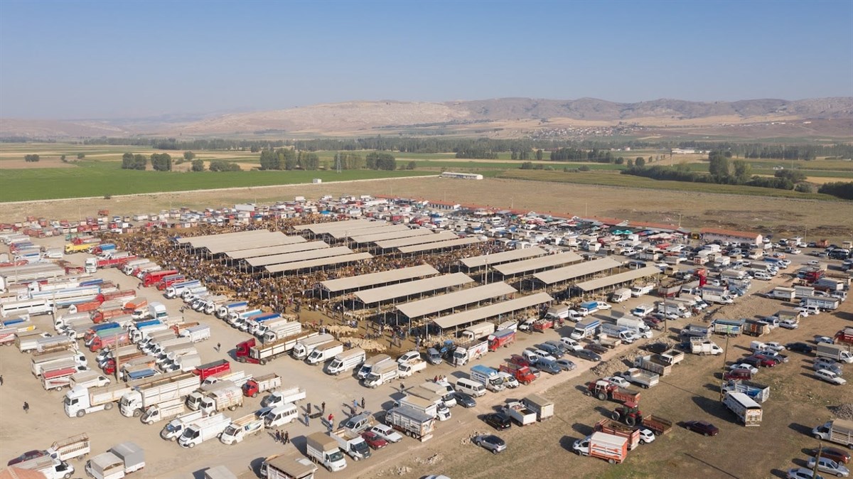 Kurban Bayramı öncesi Sivas'ta tüm hayvan pazarları kapatıldı