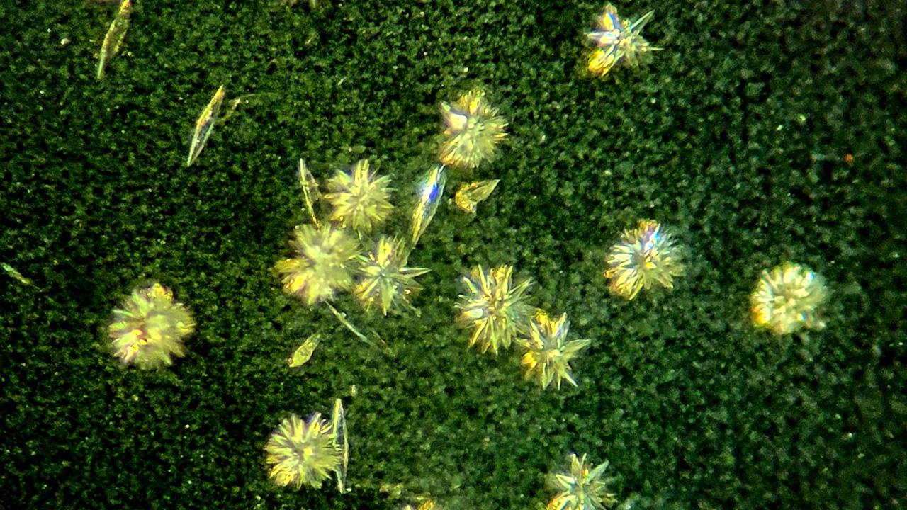 Genç Bilim İnsanının keşfi Nobel ödüllü Profesör tarafından 'Çığır Açıcı' olarak nitelendirildi!