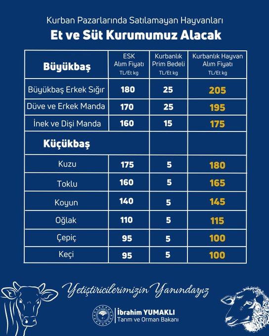 Müjde! Devlet satılamayan kurbanları satın alacak! İşte fiyatlar!
