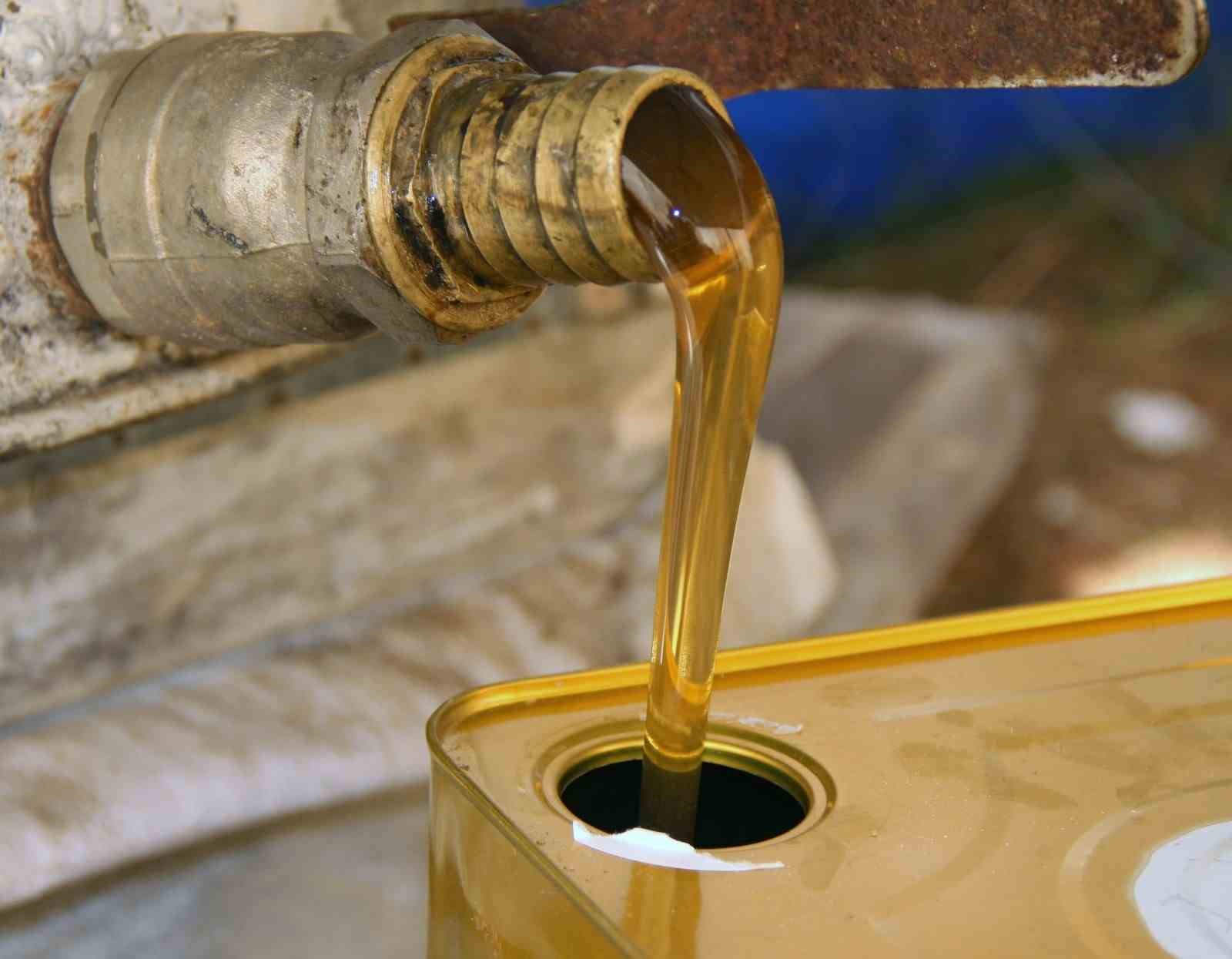 (MTO) Başkanı Mutlu Ayhan açıkladı: "Çam balında rekolte yükseliyor"