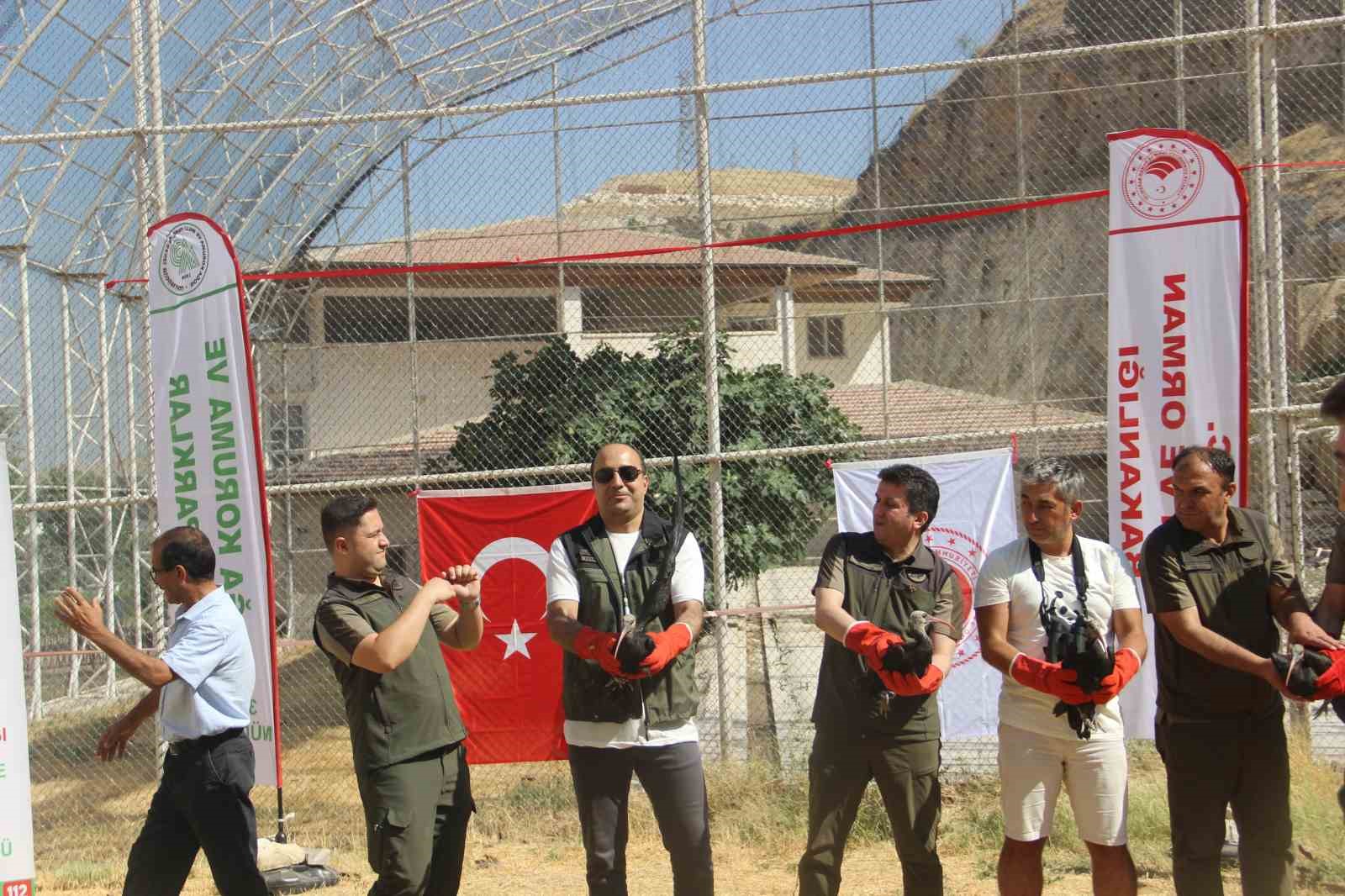 GPRS cihazı takılan kelaynak kuşları doğaya bırakıldı
