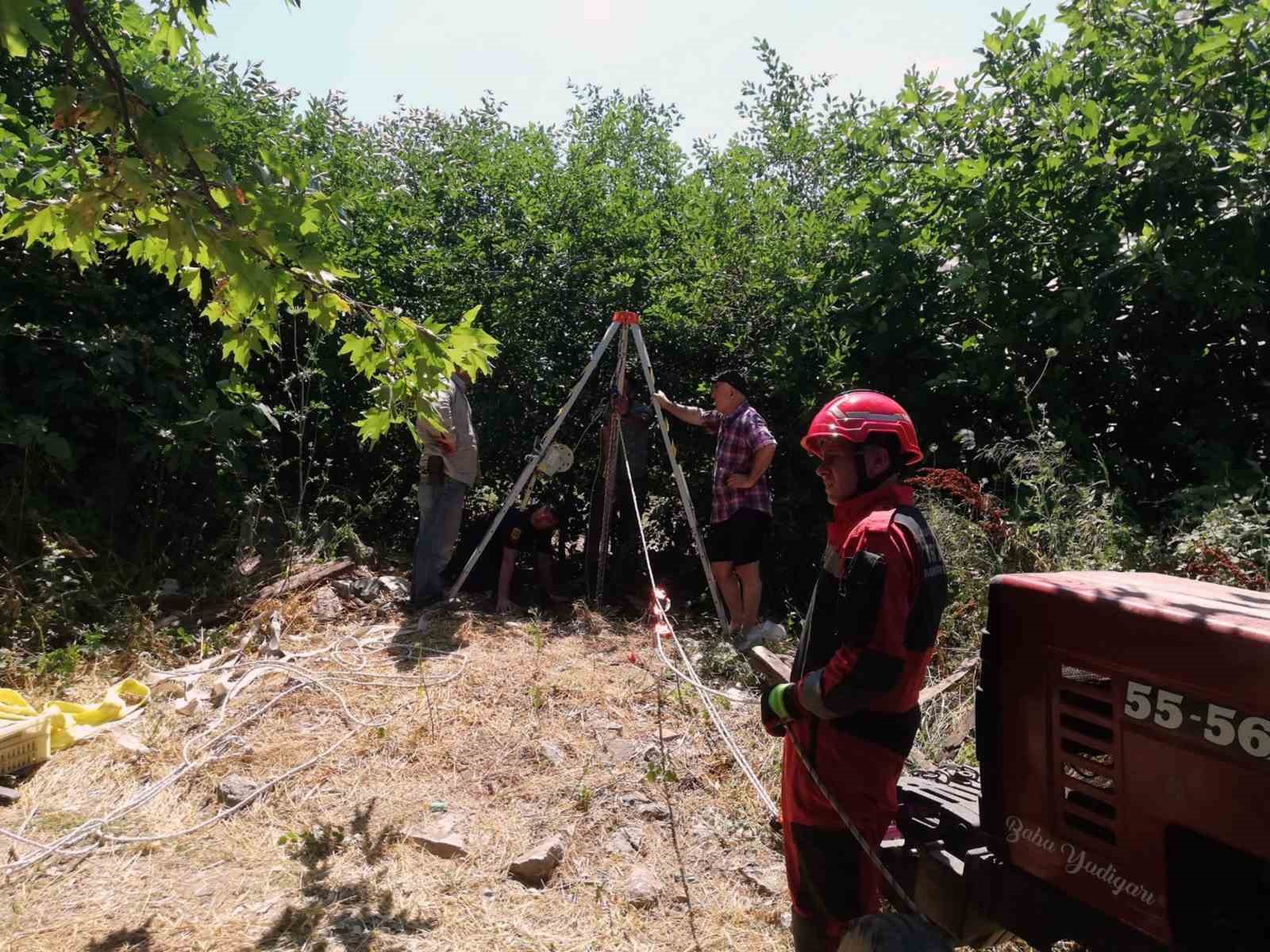 Muğla'da 2 Keçi 15 metrelik kuyuya düştü, biri kurtarıldı diğeri telef oldu