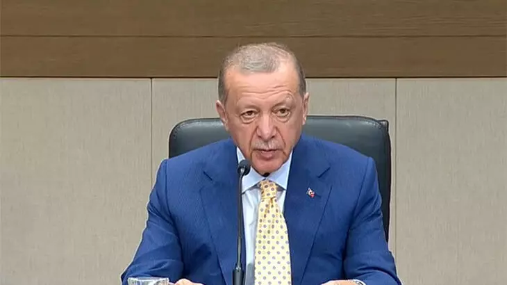 'AB kapısını açsın İsveç NATO'ya girsin!' Erdoğan NATO zirvesi öncesinde İstanbul'da konuştu