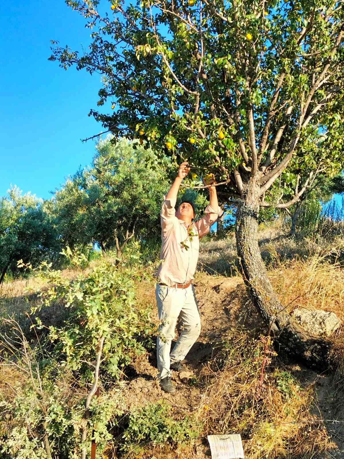 Aydın'da bir vatandaştan Toplumda paylaşmanın önemini bir kez daha gösteren örnek bir davranış