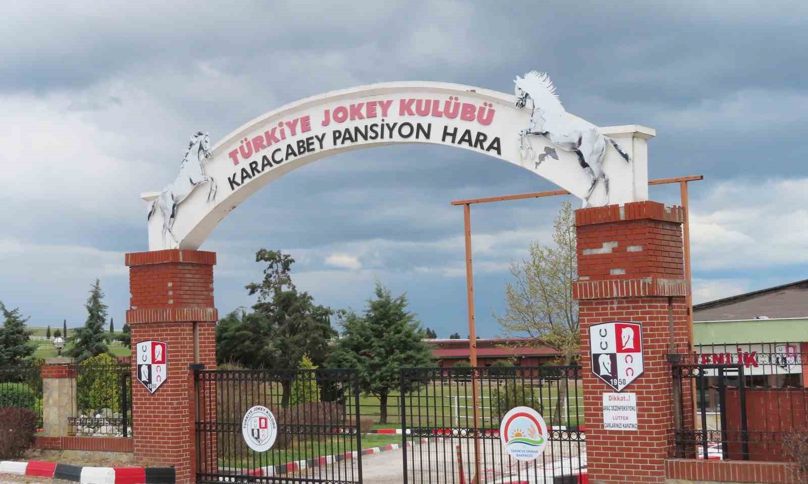 Nalbantlık kursu açılıyor, kursu bitirenlere iş garantisi 