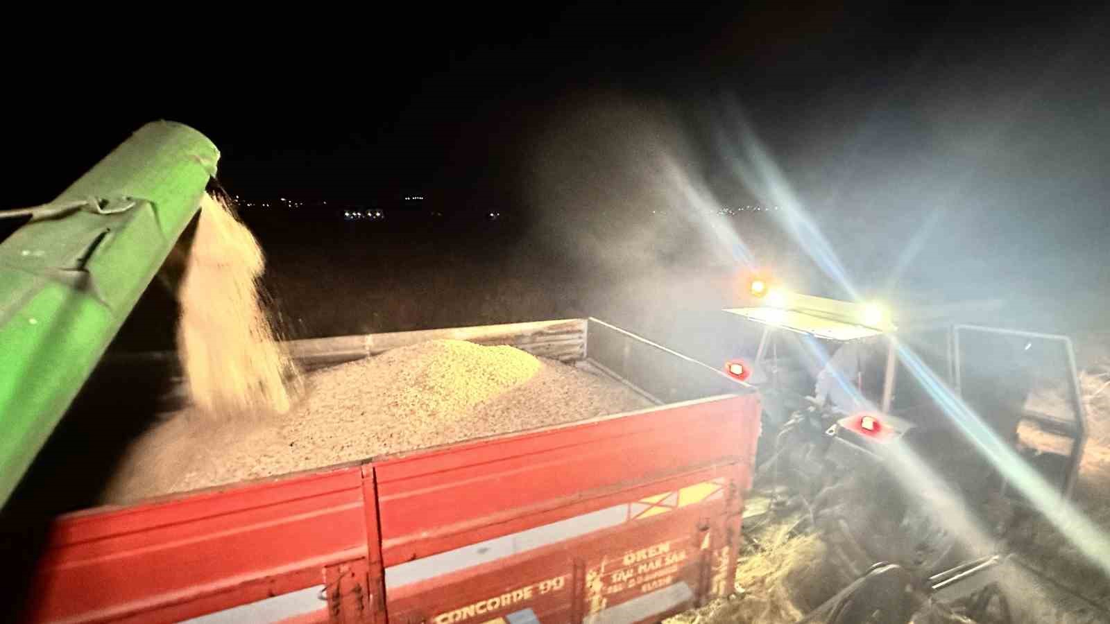 Sıcaklardan bunalan çiftçiler hasatlarını gece yaptırıyor