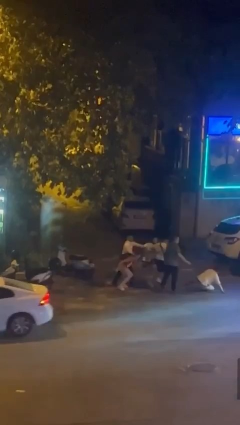 Yan bakma kavgasında cadde boks ringine döndü
