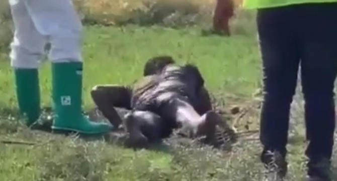 Şanlıurfa’da kuduz paniğe! Temaslı kişiler aranıyor, herkes diken üstünde!