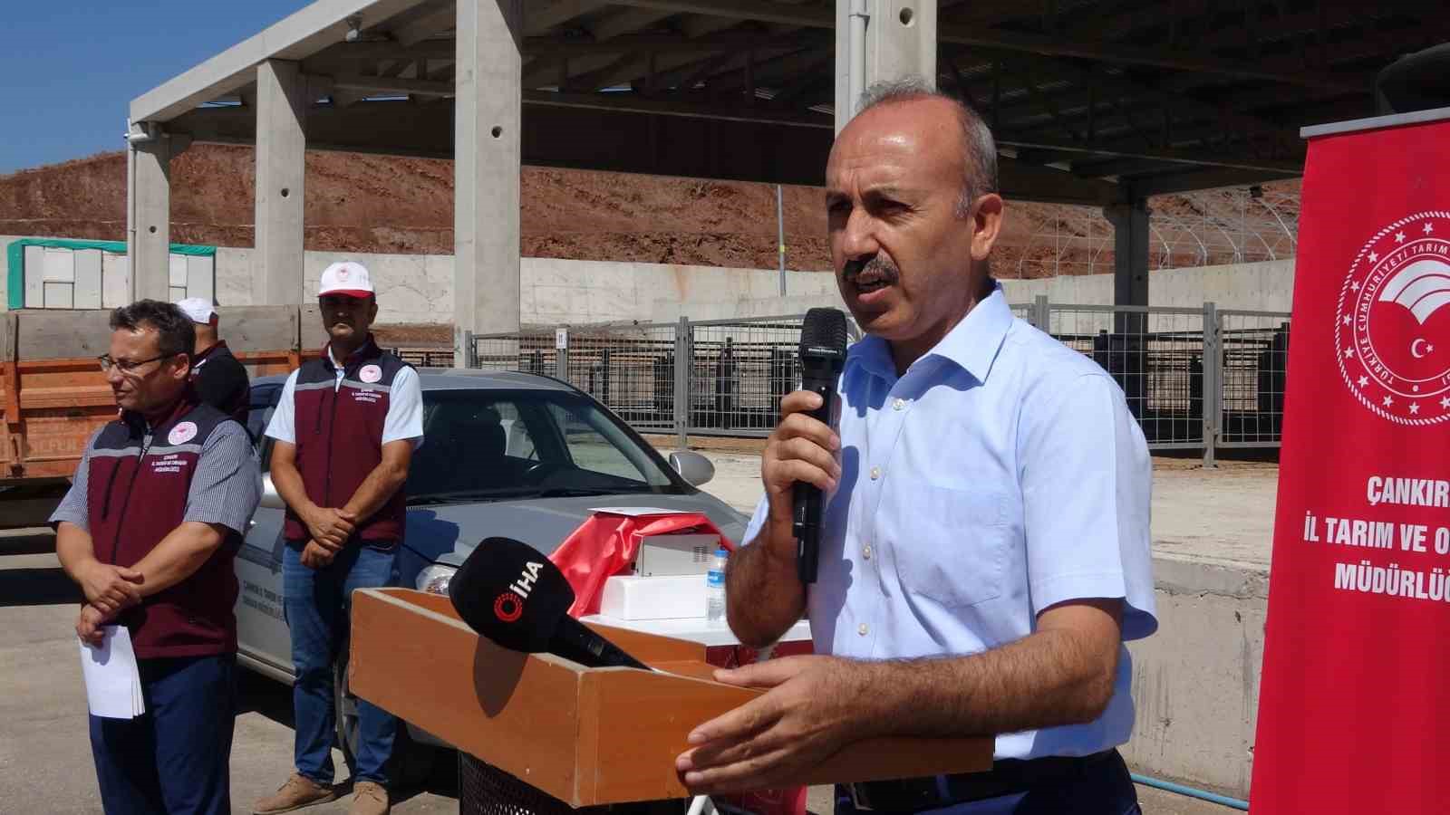 Tarım ve Orman Bakanlığı üreticileri sevindirdi! 110 adet koç dağıtıldı