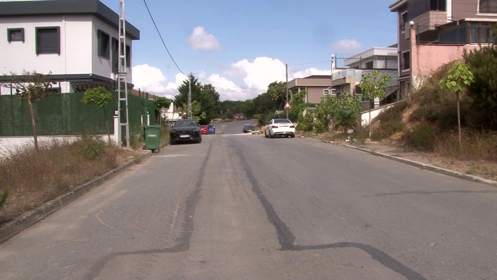 Bu nasıl zihniyet? Korna çaldığı köpek yoldan çekilmeyince, ezip geçti!