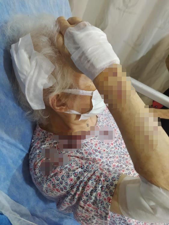 Büyükçekmece'de maymun kabusu! Sahibinden kaçtı, 3 kişiyi yaraladı! Polis harekete geçti!