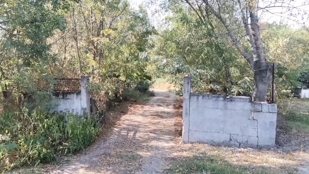 Balıkesir Gönen'de Korhan Berzeg seferberliği yeniden başladı! Tüm gerçekler Tina’nın sır dolu tasmasında gizli!