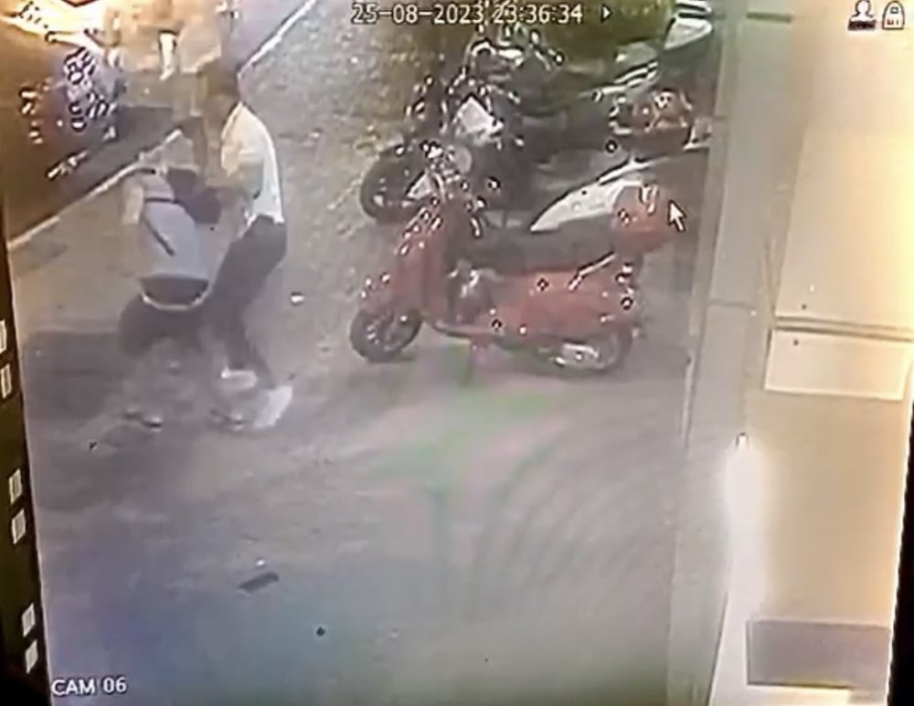 Kabataş'ta sokak kedisine tekme atan gence meydan dayağı