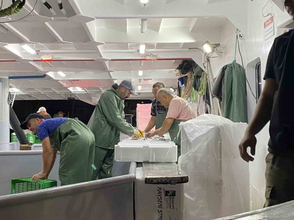 Av yasağı bitti, 2023 sezonun ilk balıkları avlandı!